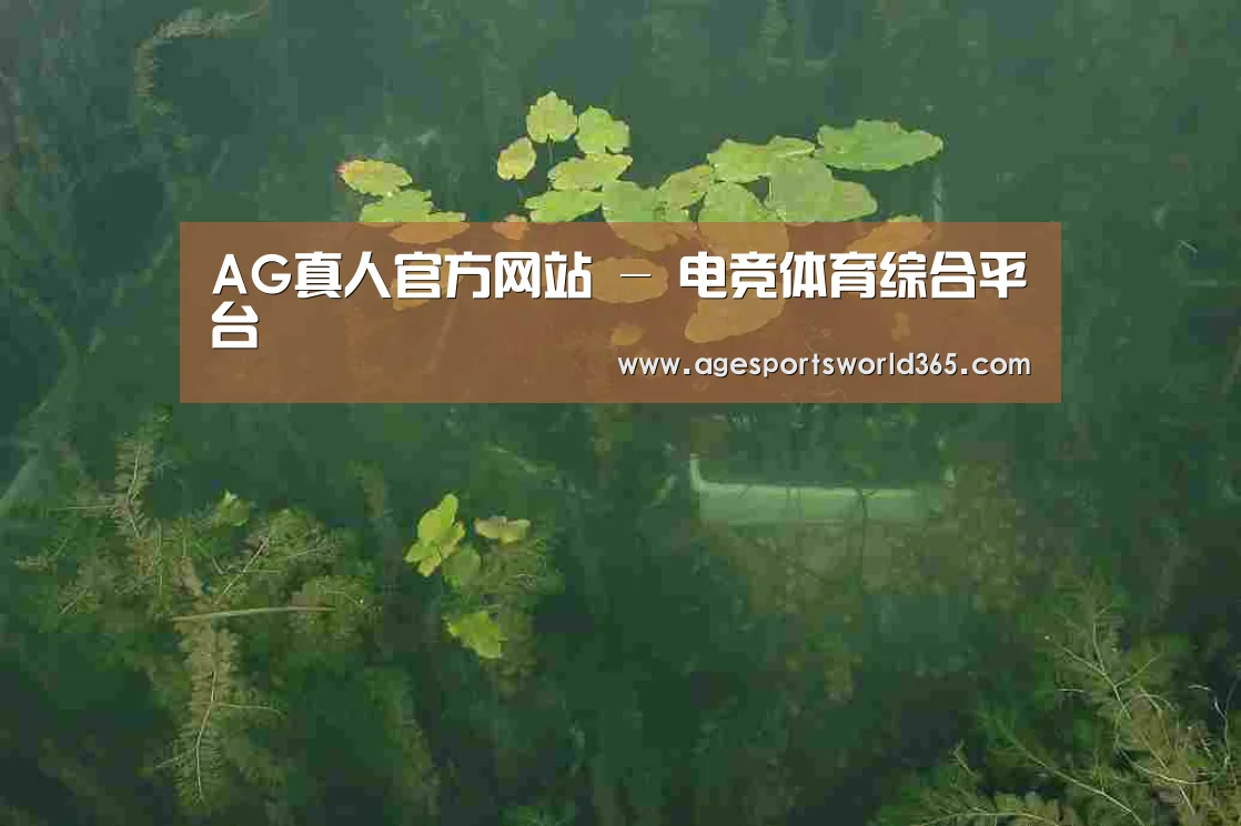 案例展示三(图1)