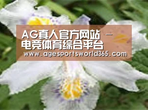 产品名称二