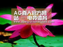 产品名称五