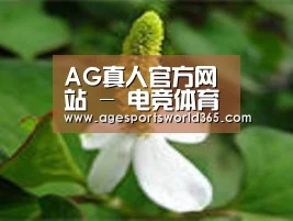 产品名称三