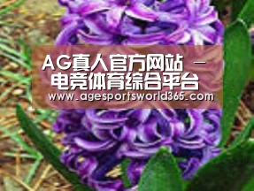 产品名称八
