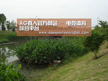 案例展示四