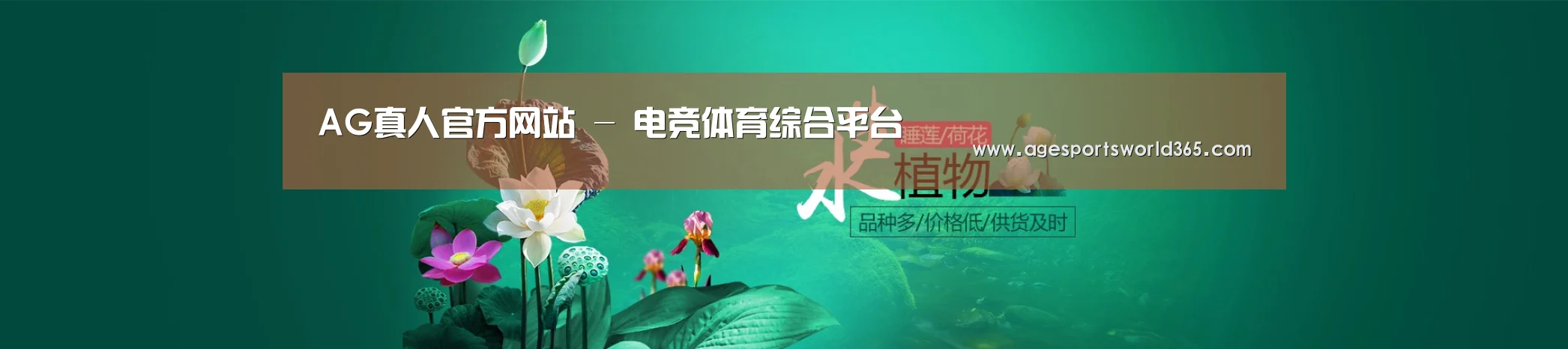 鲜花水草花卉网站模板