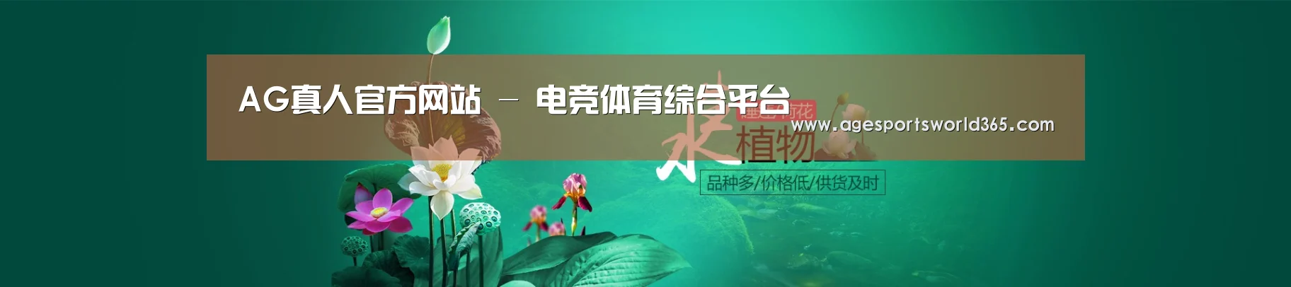 鲜花水草花卉网站模板