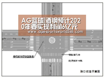 AG篮球