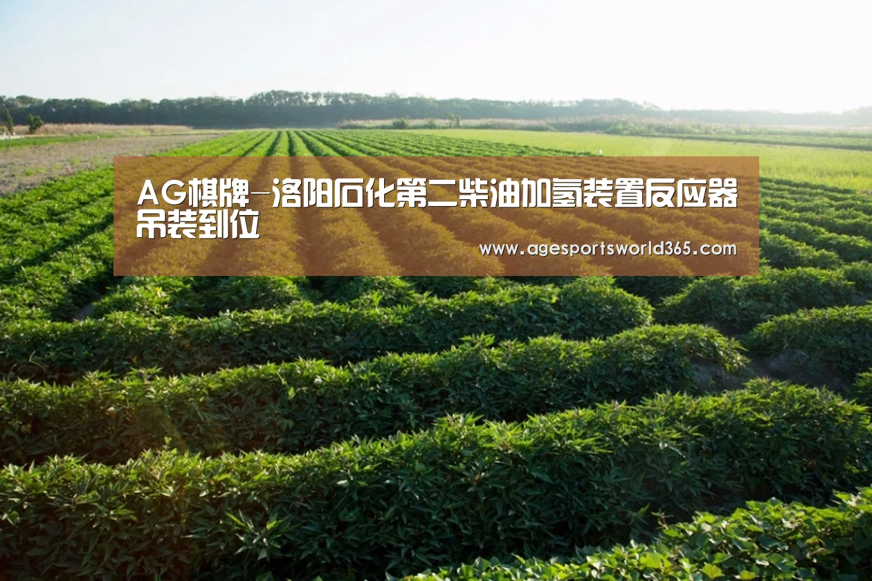 AG百家乐