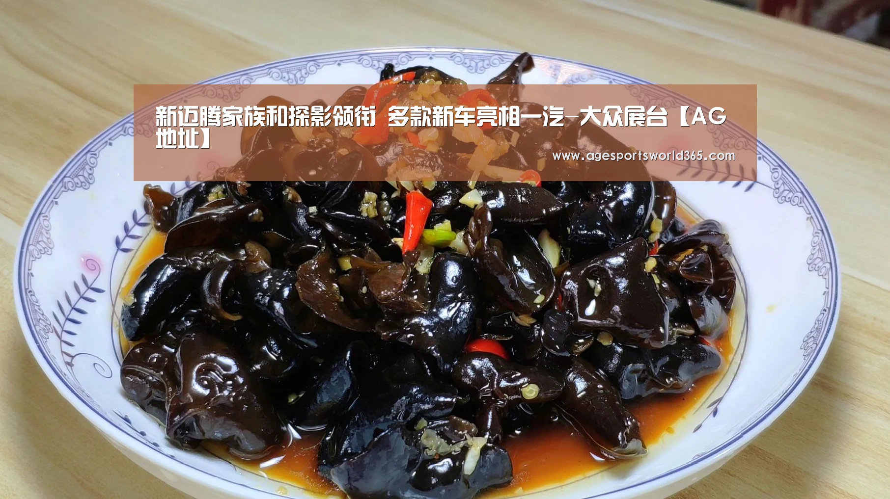 新迈腾家族和探影领衔 多款新车亮相一汽-大众展台【AG地址】