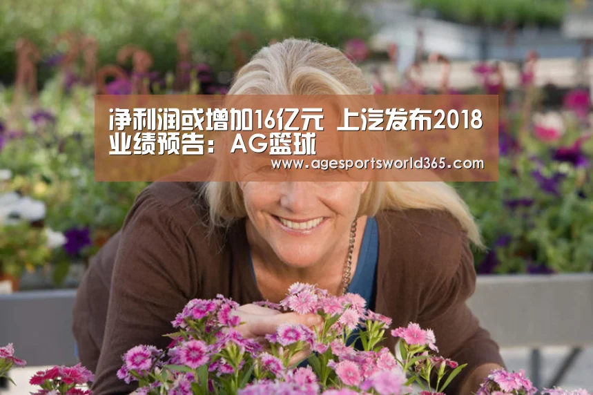 净利润或增加16亿元 上汽发布2018业绩预告:AG篮球(图2) AG百家乐