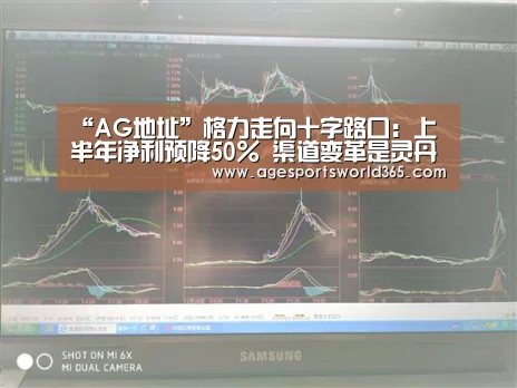 AG地址
