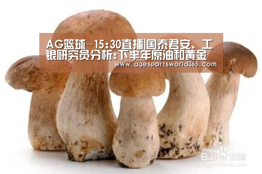 AG篮球-15:30直播|国泰君安、工银研究员分析:下半年原油和黄金投资策略(图1) AG篮球